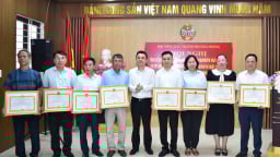 Hội Nông dân Hải Phòng tuyên truyền, vận động hiệu quả hội viên sản xuất, kinh doanh sản phẩm an toàn, phát triển kinh tế tập thể
                                            