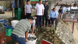 Đây là cách Yên Bái làm cho một hồ nước ngọt nhân tạo lớn thứ 2 Việt Nam có nhiều cá to bự hơn