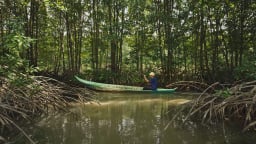Một huyện của Cà Mau 3 mặt giáp biển, dân nuôi con gì trong rừng hễ trông thấy ai cũng muốn mua?