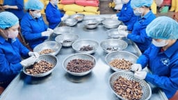 Hành trình 30 năm đưa hạt sen, long nhãn Hưng Yên 'vượt ao làng', chinh phục thị trường thế giới