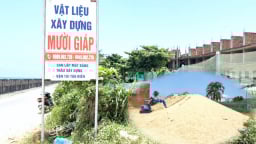 1 phần dự án khu phức hợp Lý Sơn được chuyển làm bãi trữ để kinh doanh vật liệu xây dựng (?)