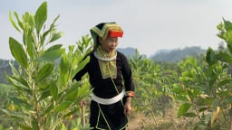 Dẫn vốn tín dụng chính sách kịp thời về cho người dân, một xã vùng 3 ở Lạng Sơn giảm nhanh tỷ lệ hộ nghèo 