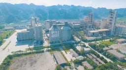 Công ty 'họ' Vicem lỗ ròng 10 quý liên tiếp