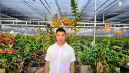 9X Tây Ninh trồng thành công 'hoa quý tộc', đã đẹp lại còn đột biến, thu tiền tỷ, sắp bán ra nước ngoài rồi