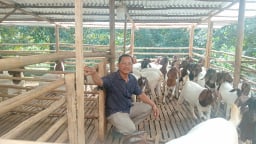 Một hợp tác xã ở Đồng Nai nuôi con gì cũng ăn nên làm ra, thu 7 tỷ/năm