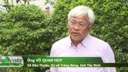 Tâm sự của 'vua chuối' Út Huy khi gửi tâm thư về vườn chuối 88ha đầy tâm huyết ở Tây Ninh