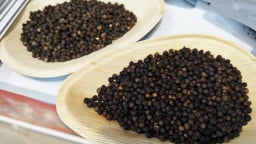 Giá tiêu vẫn giảm nhẹ, ngoại trừ Đắk Lắk
