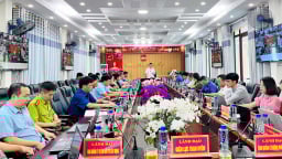 Than Uyên: Tập trung chăm sóc và bảo vệ diện tích chè, rừng đã trồng