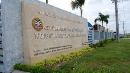 Không phải cao su, loại quả này giúp Cao su Thống Nhất (TNC) báo lãi tăng đột biến quý I/2025
