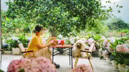 An Lành Farm - Điểm du lịch trải nghiệm 'hút' khách ở Yên Bái 