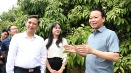 Bộ trưởng Bộ Nông nghiệp và Môi trường cùng Chủ tịch UBND tỉnh Bắc Giang họp bàn giải pháp tiêu thụ vải thiều