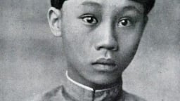 Vương triều nhà Nguyễn có ông vua nào huấn luyện nữ binh, từng ném tuyên cáo nhận tội soạn sẵn trước mặt viên khâm sứ Pháp?