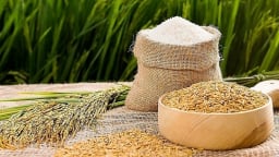 Một ngân hàng cấp tín dụng lên tới 100% giá trị hóa đơn, 'gỡ nút thắt' vốn cho doanh nghiệp lúa gạo