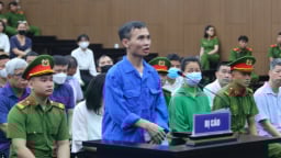 Chủ tịch Công ty Đất hiếm Việt Nam không đồng ý cáo trạng nhưng xin “nhận tội cho xong”