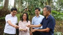 Hội Nông dân Lào Cai tham gia giám sát thực hiện chương trình xây dựng nông thôn mới và giảm nghèo bền vững