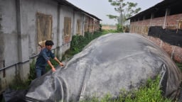 Trước khi sáp nhập với Hòa Bình, Phú Thọ, Vĩnh Phúc có chỉ đạo 'nóng' xử lý các cơ sở chăn nuôi gây ô nhiễm môi trường
