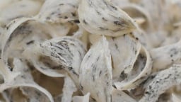 Trước khi sáp nhập Đồng Tháp, tỉnh Tiền Giang nuôi mạnh một loài chim tiền tỷ, bán 'tổ đại bổ' sang Trung Quốc