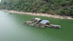 Người dân vùng hồ Thác Bà ở Yên Bái phát triển nhiều mô hình kinh tế hiệu quả, giảm nghèo bền vững