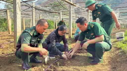 Đồn Biên phòng Phiêng Pằn bảo vệ vững chắc chủ quyền biên giới
