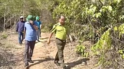 Diễn biến mới vụ phá rừng ở Kon Tum