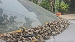 Xe 7 chỗ “chết lâm sàng” cả năm trước nhà dân ở quận Tân Phú, công an tìm chủ nhân