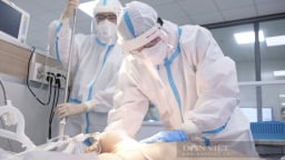 Số ca mắc Covid-19 tại TP.HCM tăng lên trong 2-3 tuần gần đây