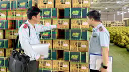 Đâu là “chìa khóa” giúp sầu riêng Đắk Lắk giữ vững thị trường?