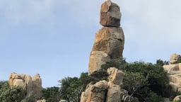 Ninh Thuận định hợp nhất 2 vườn quốc gia, một vườn có đàn bò tót, một vườn có cả rừng, biển, sa mạc 