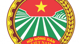 Toàn văn Thể lệ Thi viết tìm hiểu về truyền thống Hội Nông dân Việt Nam 95 năm xây dựng và trưởng thành (14/10/1930 – 14/10/2025)