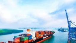 Công bố thông tin sai lệch, Cảng Phước An (PAP) bị xử phạt 327,5 triệu đồng