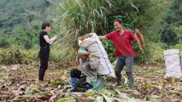 Một xã vùng thấp của tỉnh Hòa Bình, người dân trồng lúa, dong riềng, làm nghề phụ mà thoát nghèo, thu 52,4 triệu đồng/người/năm 