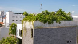 Khám phá nhà phố '4 hộp' ở Đà Nẵng: Không gian sống chan hòa thiên nhiên