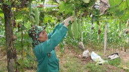 Quỹ Hỗ trợ nông dân – Đồng hành cùng nông dân Lào Cai vượt khó