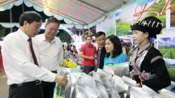 Lễ hội Trà Tân Uyên lần thứ II năm 2025: “Cơ hội vàng” cho chè Tân Uyên 'cất cánh' 