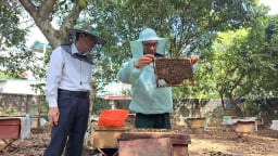 Quỹ Hỗ trợ Nông dân: 'Đòn bẩy' giúp nông dân Hòa Bình làm giàu