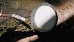 Giá cao su đồng loạt tăng mạnh trở lại, nhu cầu từ Trung Quốc đang trên đà hồi phục