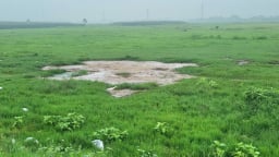 Lãnh đạo, người dân Ninh Bình nói gì về dự án “siêu học viện bóng đá nghìn tỷ” theo mô hình La Masia?