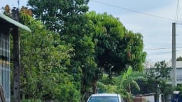 Tạm giữ nghi phạm đánh chết anh vợ sau mâu thuẫn tại cuộc nhậu  