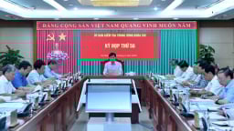 Cảnh cáo Thứ trưởng Bộ Giáo dục và Đào tạo Nguyễn Thị Kim Chi, đề nghị kỷ luật 3 nguyên cán bộ lãnh đạo