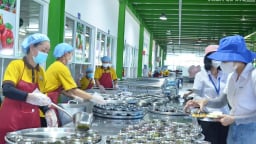 Trước giờ 'chung nhà' với An Giang, UBND tỉnh Kiên Giang ban hành một công văn chỉ đạo một lĩnh vực quan trọng