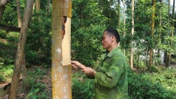 Thu nhập bình quân đầu người ở một huyện của Lào Cai đạt 86 triệu đồng/năm