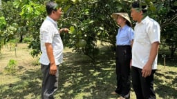 Trước giờ sáp nhập TP HCM, Bà Rịa-Vũng Tàu, tỉnh Bình Dương có huyện này dẫn đầu về một lĩnh vực quan trọng