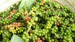 Giá tiêu trong nước bất ngờ đi lên đầu tuần, tiêu Đắk Lắk vọt lên cao nhất hôm nay