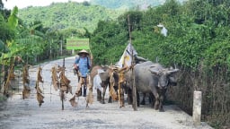 Huyện Cam Lâm (Khánh Hòa): Bị chậm cấp sổ đỏ, người dân rào chắn lối đi chung
