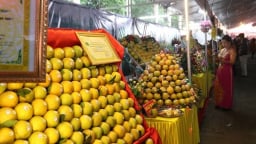 Vừa bán hết loại trái cây đặc sản, một huyện của tỉnh Hòa Bình ra ngay văn bản thông báo hết vụ để tránh việc này