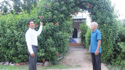 Trước khi sáp nhập tỉnh Bình Định, Gia Lai có một làng mà cư dân toàn công nhân thủy điện, cổng nhà trồng dâm bụt đẹp như phim