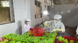 OCOP Lạc Thủy vượt qua 'danh hiệu' để tìm giá trị thật