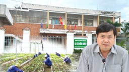 Lãnh đạo tỉnh Kon Tum 'điểm mặt' Sở NN&MT vụ báo cáo cấp mã số vùng trồng cho doanh nghiệp
