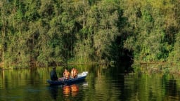 Vùng Đồng Tháp Mười phía Tiền Giang có một khu rừng ngập nước, chim hoang dã bay la liệt