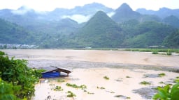Lào Cai: Một người bị lũ cuốn mất tích khi đi vớt mạ dưới suối
